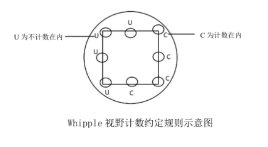 精準檢測地表水中浮游植物的方法